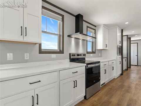 Tiny photo for 17755 County Road 2, Rush, CO 80833 (MLS # 7212574)