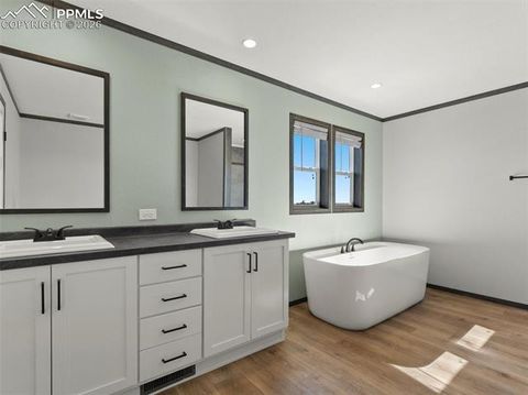 Tiny photo for 17755 County Road 2, Rush, CO 80833 (MLS # 7212574)