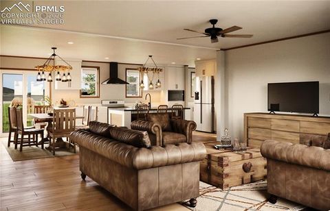 Tiny photo for 17755 County Road 2, Rush, CO 80833 (MLS # 7212574)