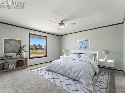 Tiny photo for 17755 County Road 2, Rush, CO 80833 (MLS # 7212574)