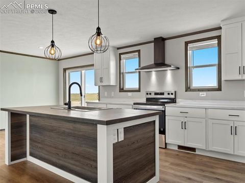 Tiny photo for 17755 County Road 2, Rush, CO 80833 (MLS # 7212574)