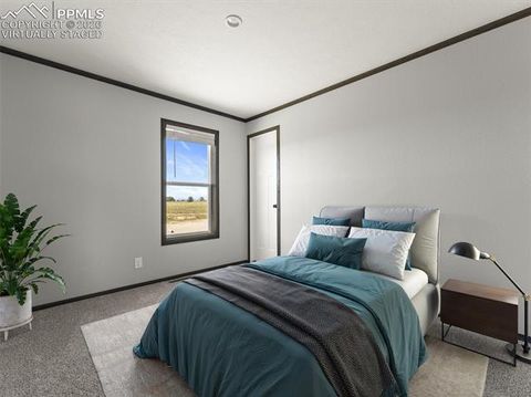 Tiny photo for 17755 County Road 2, Rush, CO 80833 (MLS # 7212574)