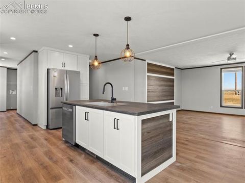 Tiny photo for 17755 County Road 2, Rush, CO 80833 (MLS # 7212574)