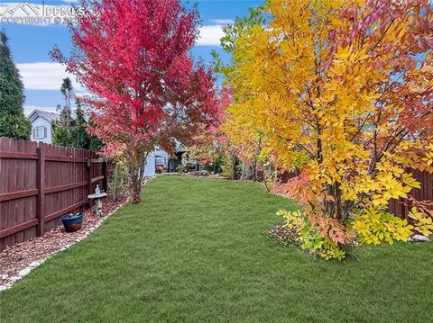 Tiny photo for 6315 Basalt Court, Colorado Springs, CO 80922 (MLS # 9279289)