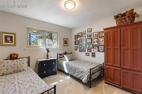 Tiny photo for 702 Sunnywood Loop, Woodland Park, CO 80863 (MLS # 4263850)
