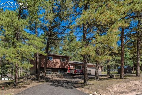 Tiny photo for 702 Sunnywood Loop, Woodland Park, CO 80863 (MLS # 4263850)