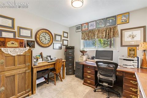 Tiny photo for 702 Sunnywood Loop, Woodland Park, CO 80863 (MLS # 4263850)