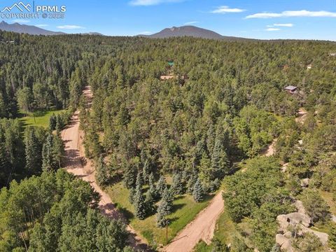 Photo of 44 E Valley Lane, Woodland Park, CO 80863 (MLS # 8937591)