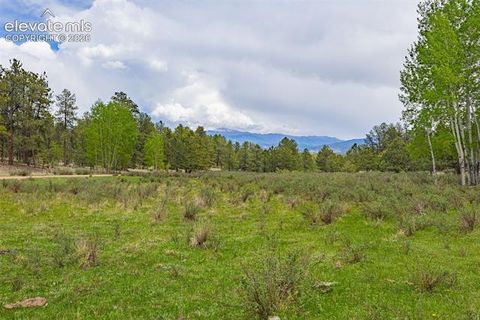 Photo of 4250 Doe Valley Road, Guffey, CO 80820 (MLS # 5729748)
