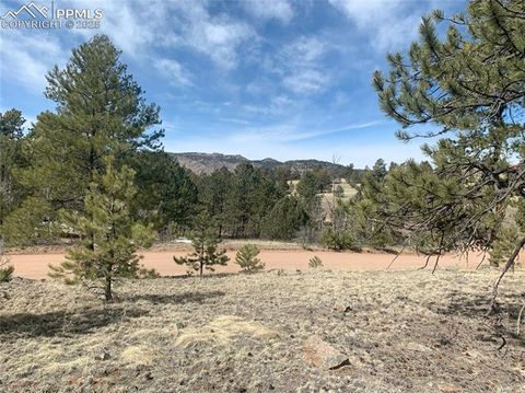 Photo of 173 Crescent Drive, Florissant, CO 80816 (MLS # 7161174)