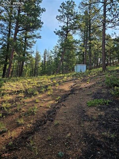 1117 Appleby Drive Sedalia Co 80135