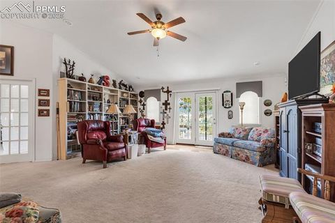 Tiny photo for 2945 Paw Prints Drive, Canon City, CO 81212 (MLS # 1647253)