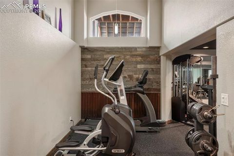 Tiny photo for 7674 Paleo Way, Colorado Springs, CO 80908 (MLS # 4383950)