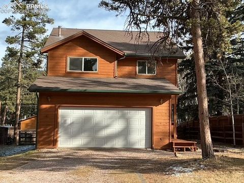 Tiny photo for 489 N Pine Street, Woodland Park, CO 80863 (MLS # 9646051)