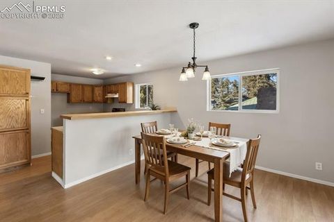 Tiny photo for 489 N Pine Street, Woodland Park, CO 80863 (MLS # 9646051)