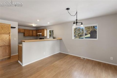 Tiny photo for 489 N Pine Street, Woodland Park, CO 80863 (MLS # 9646051)