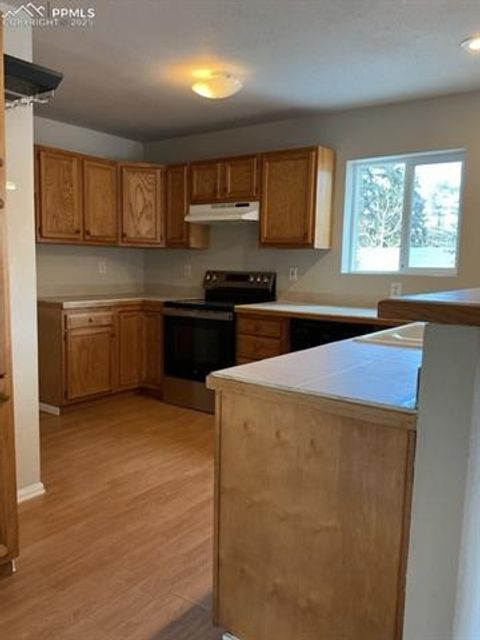 Tiny photo for 489 N Pine Street, Woodland Park, CO 80863 (MLS # 9646051)