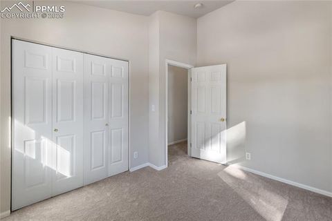 Tiny photo for 489 N Pine Street, Woodland Park, CO 80863 (MLS # 9646051)