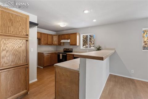 Tiny photo for 489 N Pine Street, Woodland Park, CO 80863 (MLS # 9646051)