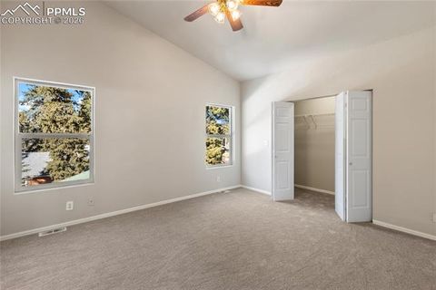 Tiny photo for 489 N Pine Street, Woodland Park, CO 80863 (MLS # 9646051)