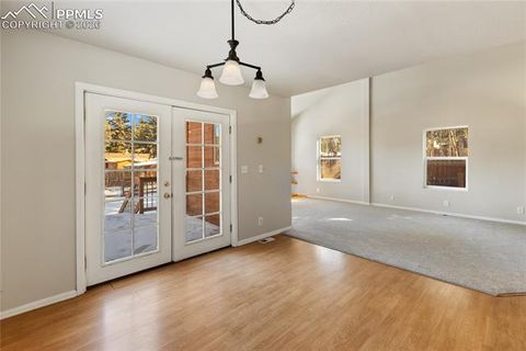 Tiny photo for 489 N Pine Street, Woodland Park, CO 80863 (MLS # 9646051)