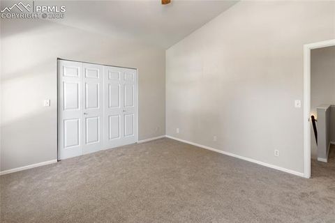 Tiny photo for 489 N Pine Street, Woodland Park, CO 80863 (MLS # 9646051)