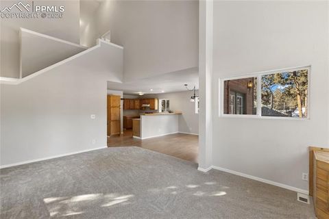 Tiny photo for 489 N Pine Street, Woodland Park, CO 80863 (MLS # 9646051)