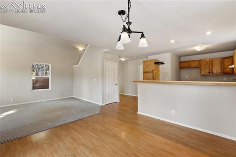 Tiny photo for 489 N Pine Street, Woodland Park, CO 80863 (MLS # 9646051)