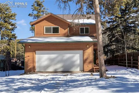 Tiny photo for 489 N Pine Street, Woodland Park, CO 80863 (MLS # 9646051)