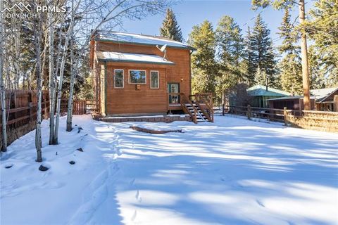 Tiny photo for 489 N Pine Street, Woodland Park, CO 80863 (MLS # 9646051)