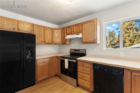 Tiny photo for 489 N Pine Street, Woodland Park, CO 80863 (MLS # 9646051)