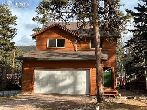 489 N Pine Street Woodland Park CO 80863