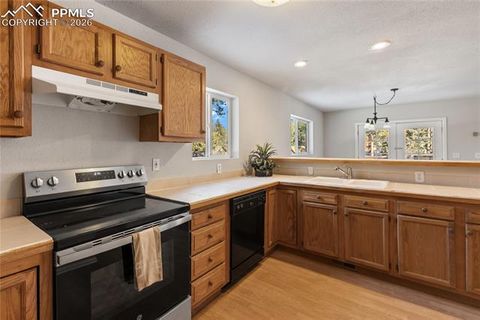 Tiny photo for 489 N Pine Street, Woodland Park, CO 80863 (MLS # 9646051)
