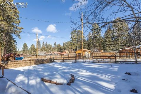 Tiny photo for 489 N Pine Street, Woodland Park, CO 80863 (MLS # 9646051)