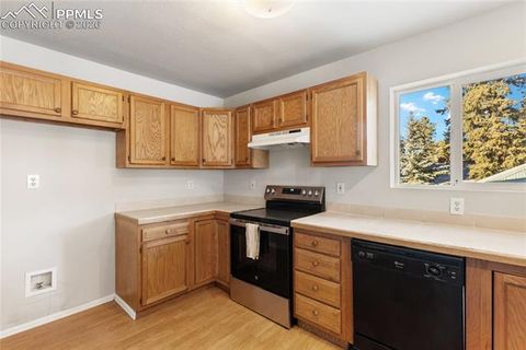 Tiny photo for 489 N Pine Street, Woodland Park, CO 80863 (MLS # 9646051)
