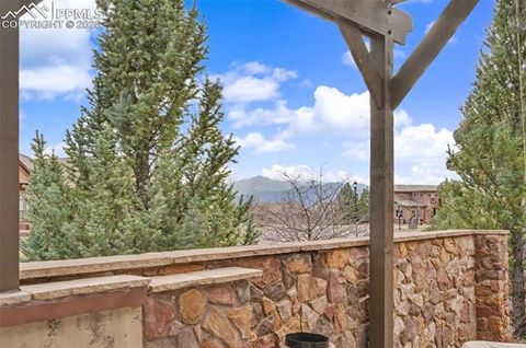 Tiny photo for 2328 Margaux Valley Way, Colorado Springs, CO 80921 (MLS # 6062066)