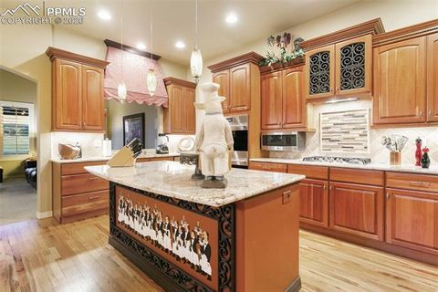 Tiny photo for 2328 Margaux Valley Way, Colorado Springs, CO 80921 (MLS # 6062066)