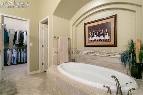 Tiny photo for 2328 Margaux Valley Way, Colorado Springs, CO 80921 (MLS # 6062066)