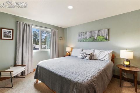 Tiny photo for 1322 Firestone Drive, Woodland Park, CO 80863 (MLS # 1939455)