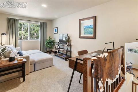Tiny photo for 1322 Firestone Drive, Woodland Park, CO 80863 (MLS # 1939455)