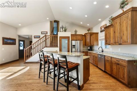 Tiny photo for 1322 Firestone Drive, Woodland Park, CO 80863 (MLS # 1939455)