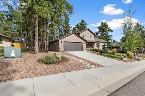 Tiny photo for 1322 Firestone Drive, Woodland Park, CO 80863 (MLS # 1939455)