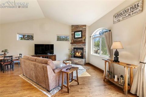 Tiny photo for 1322 Firestone Drive, Woodland Park, CO 80863 (MLS # 1939455)