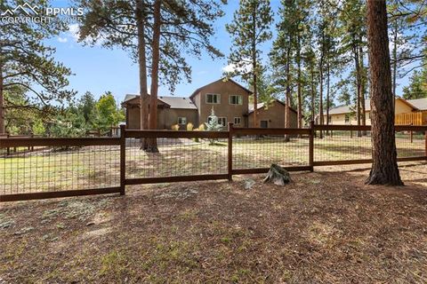 Tiny photo for 1322 Firestone Drive, Woodland Park, CO 80863 (MLS # 1939455)