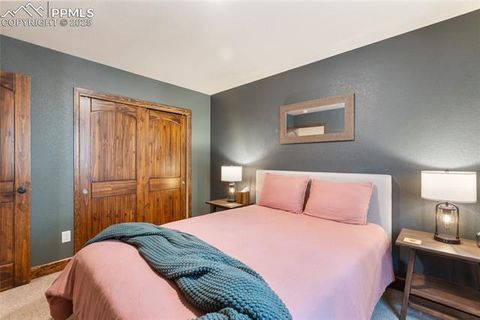 Tiny photo for 1322 Firestone Drive, Woodland Park, CO 80863 (MLS # 1939455)