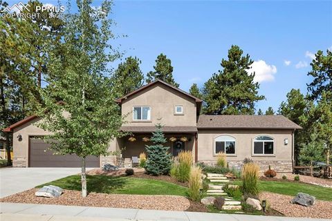 Photo of 1322 Firestone Drive, Woodland Park, CO 80863 (MLS # 1939455)