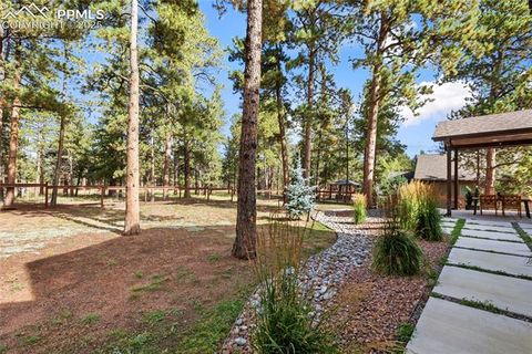 Tiny photo for 1322 Firestone Drive, Woodland Park, CO 80863 (MLS # 1939455)
