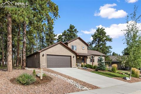 Tiny photo for 1322 Firestone Drive, Woodland Park, CO 80863 (MLS # 1939455)