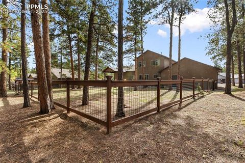 Tiny photo for 1322 Firestone Drive, Woodland Park, CO 80863 (MLS # 1939455)
