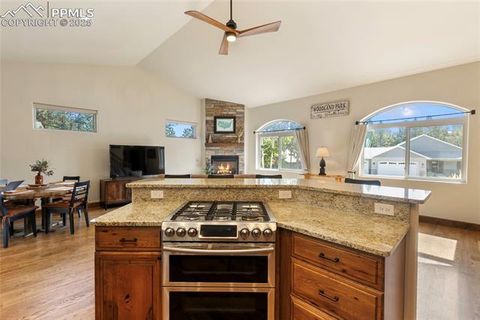 Tiny photo for 1322 Firestone Drive, Woodland Park, CO 80863 (MLS # 1939455)